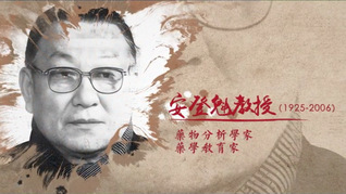 安登魁